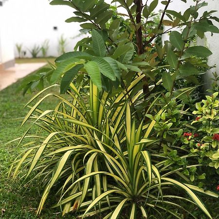 Luvi'S Villa Galle Dış mekan fotoğraf