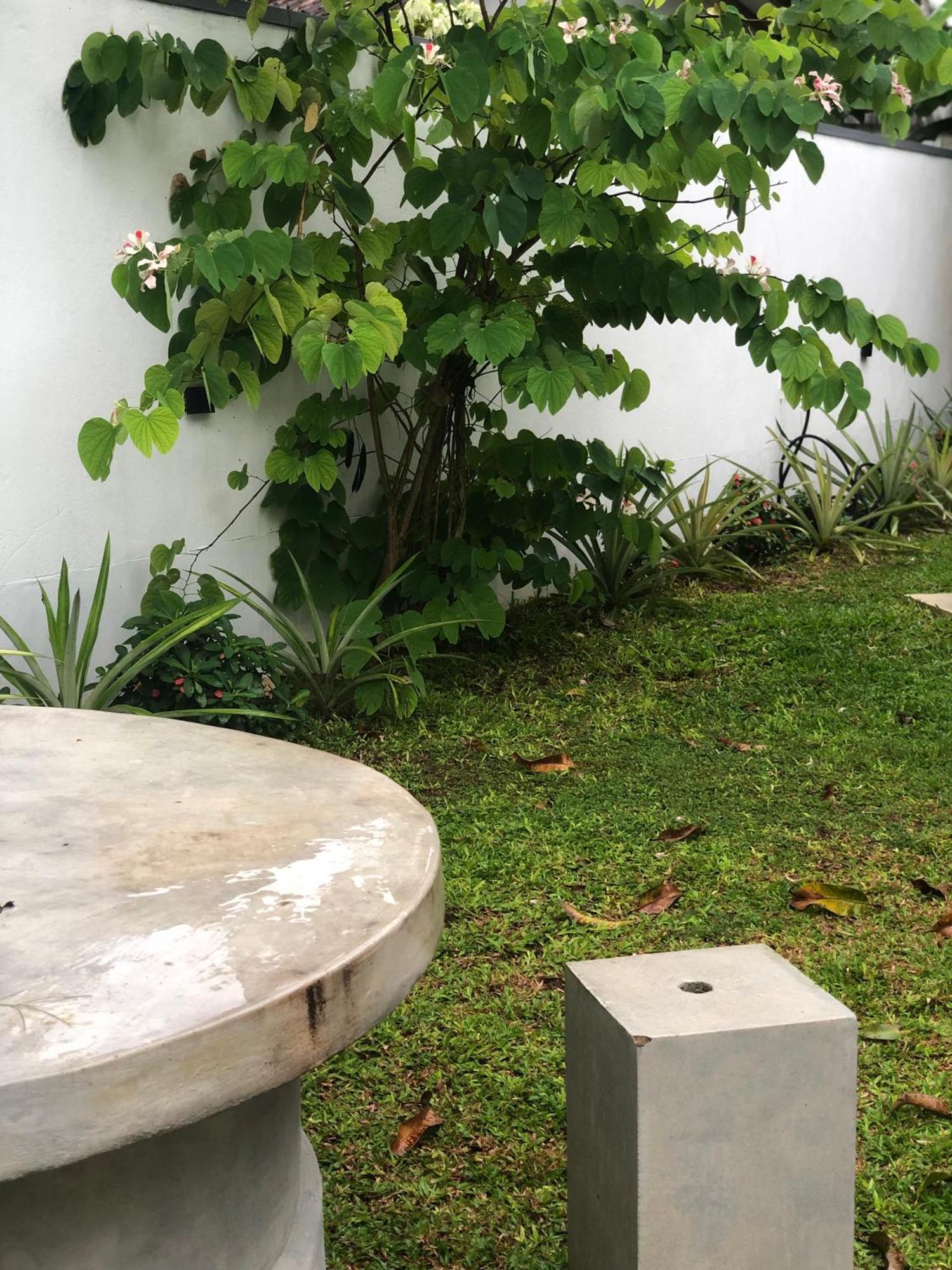 Luvi'S Villa Galle Dış mekan fotoğraf