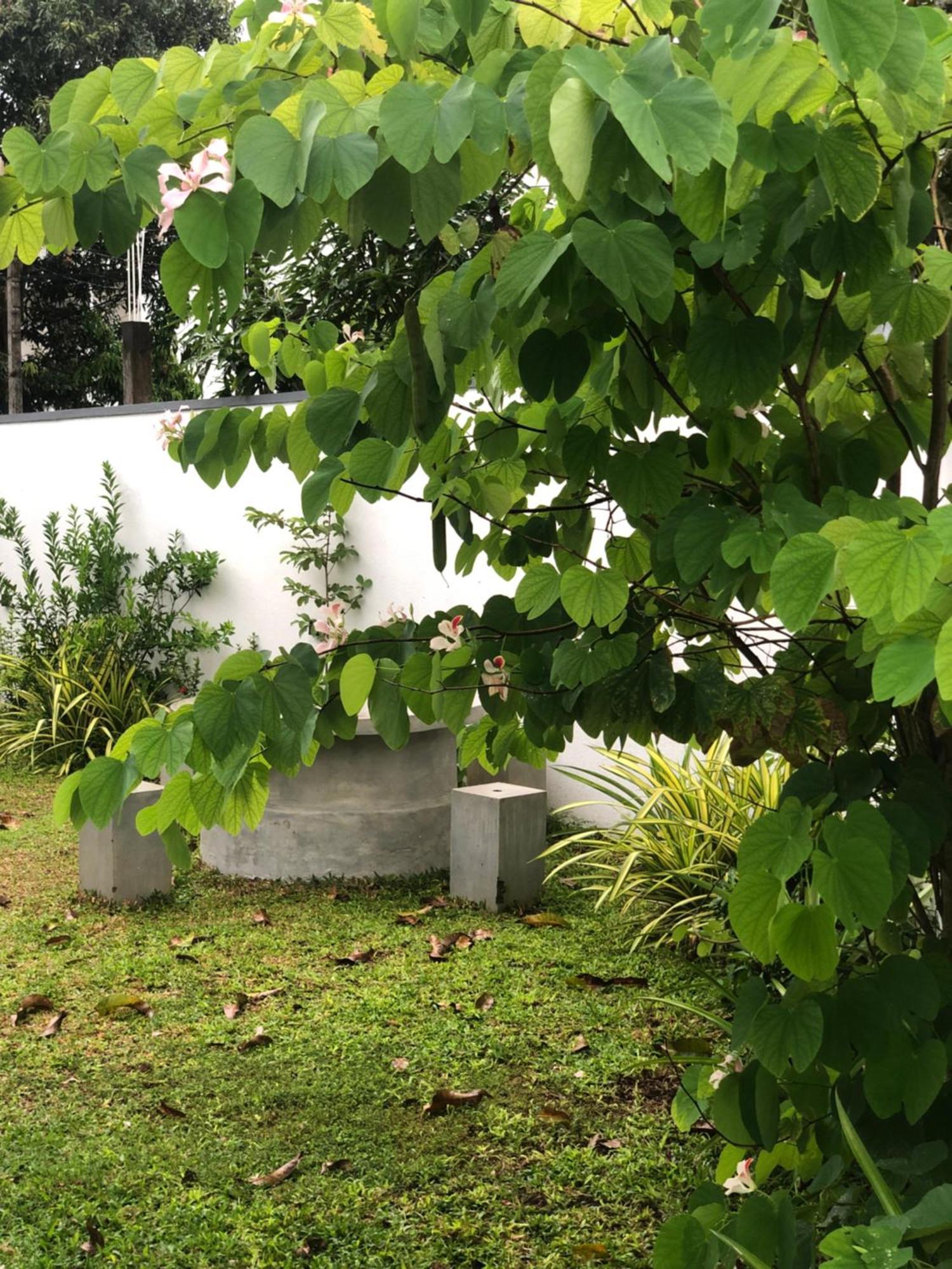 Luvi'S Villa Galle Dış mekan fotoğraf