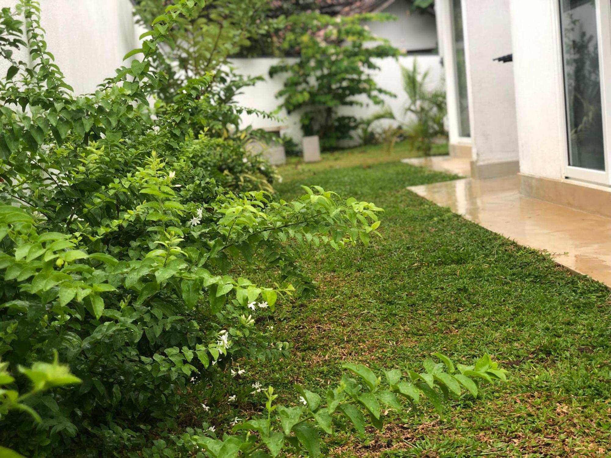 Luvi'S Villa Galle Dış mekan fotoğraf