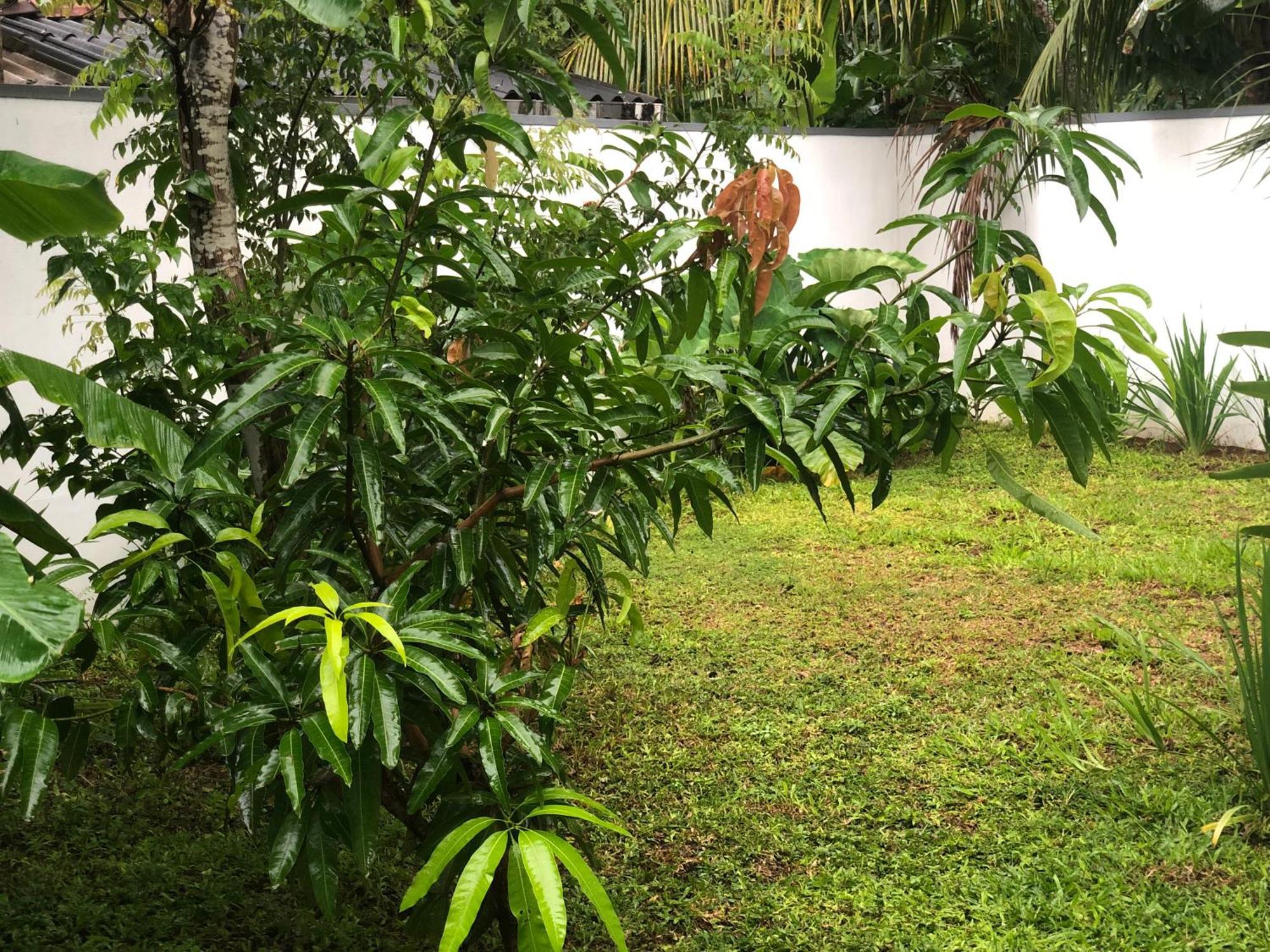 Luvi'S Villa Galle Dış mekan fotoğraf